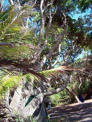 07_1246.jpg (40749 Byte)